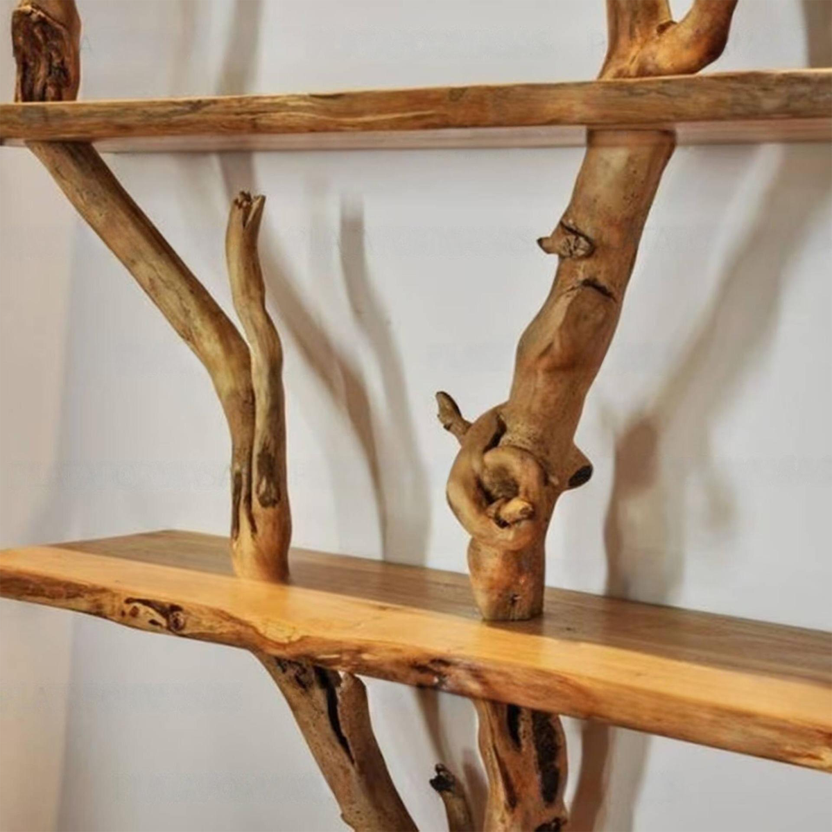 Artistic Solid Wood Tree Bookshelf with Floating Branch Shelves - Image 4